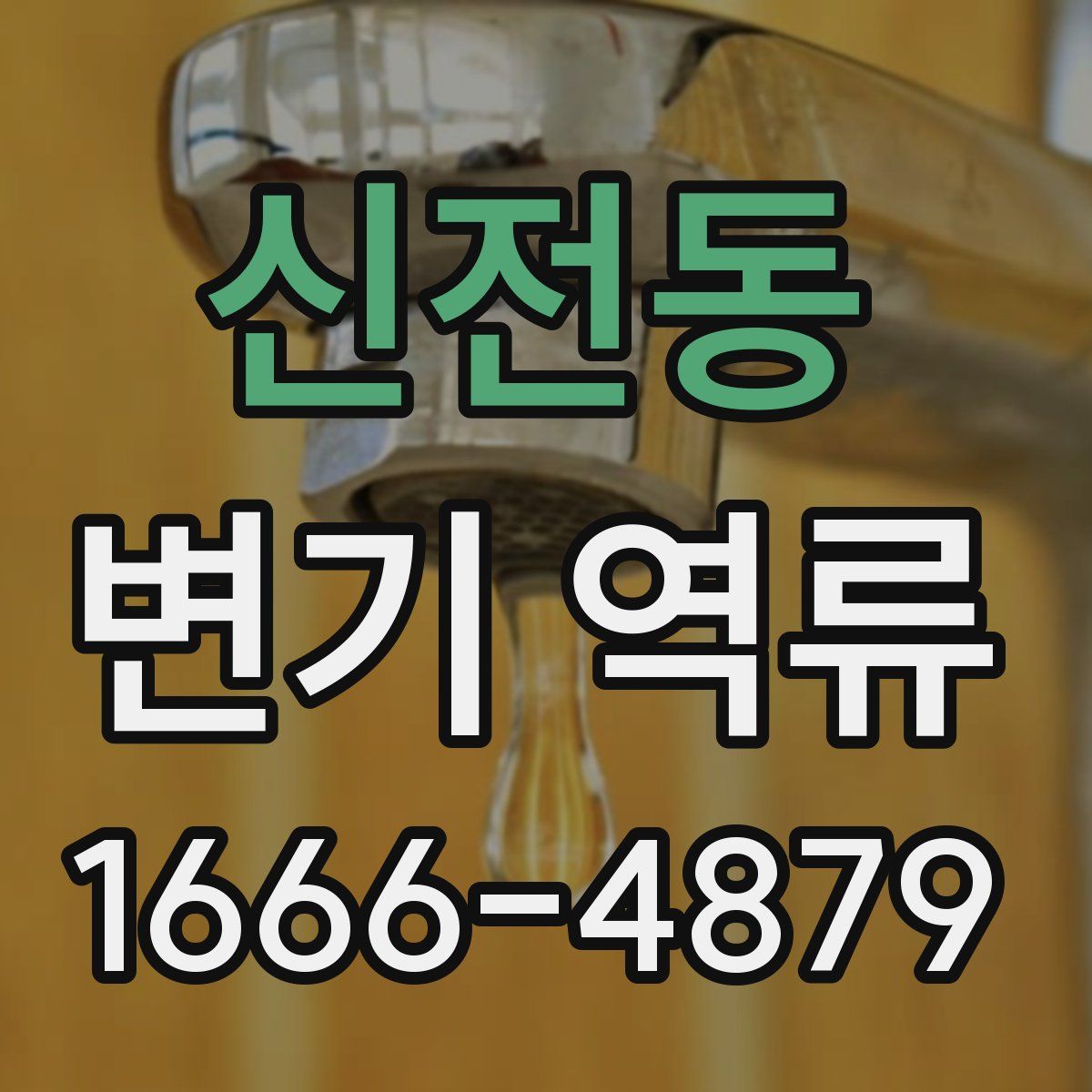 신전동 변기 역류