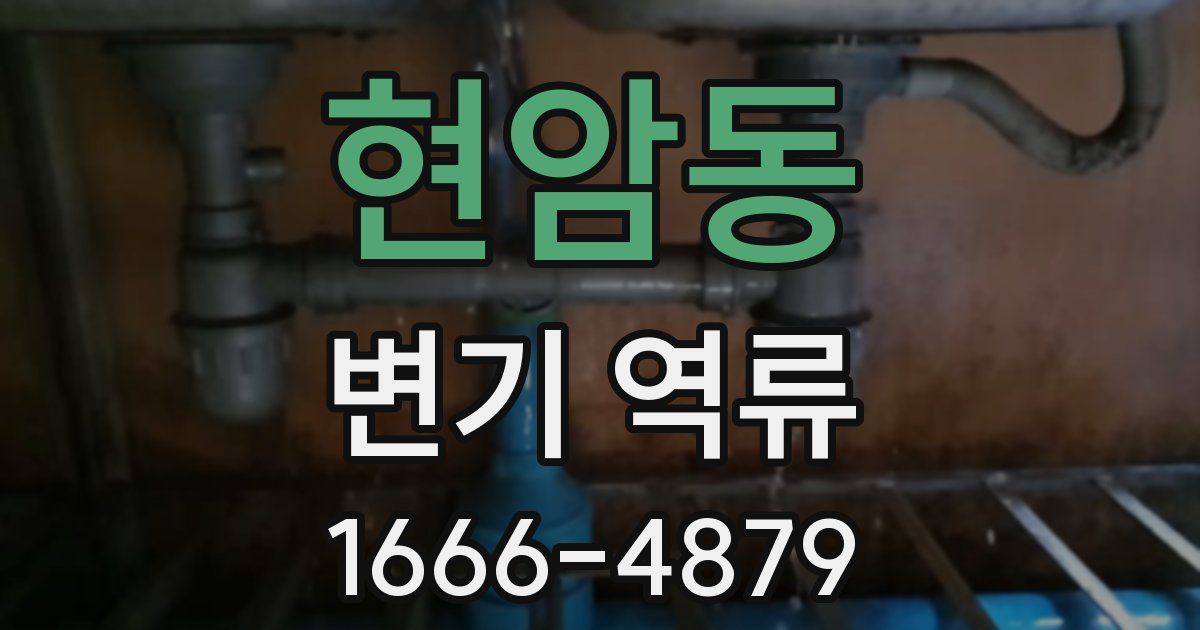 현암동 변기 역류