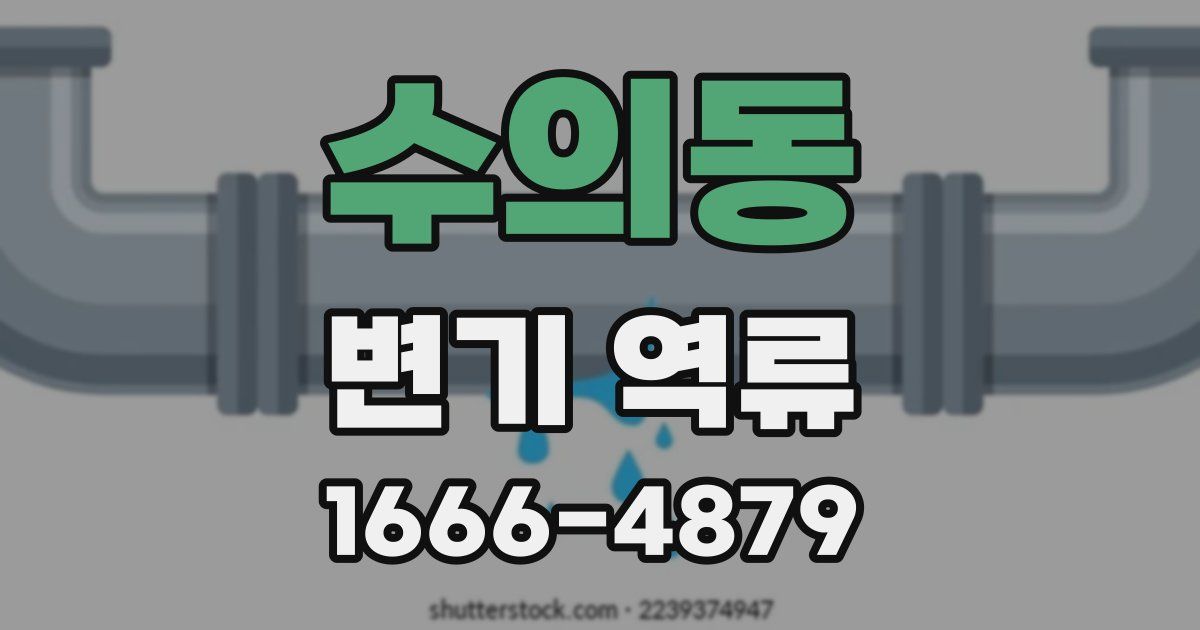 수의동 변기 역류