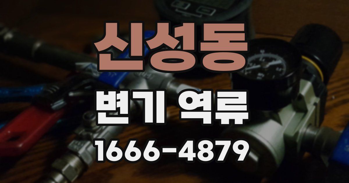 신성동 변기 역류