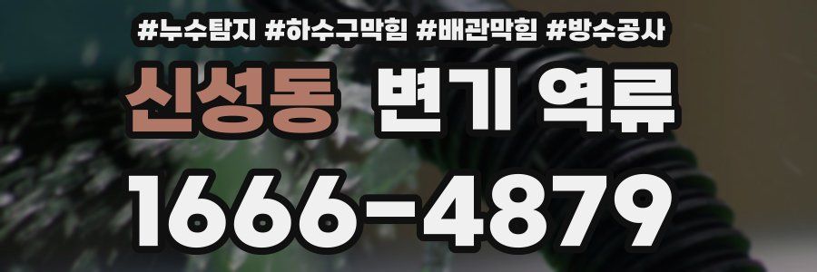 신성동 변기 역류