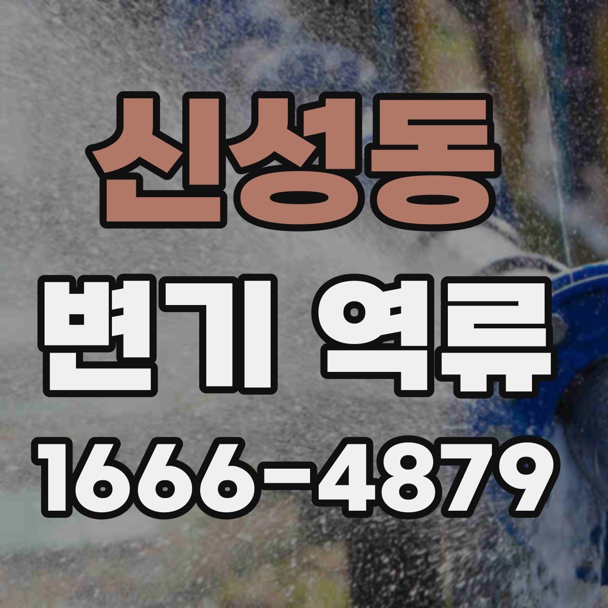 신성동 변기 역류