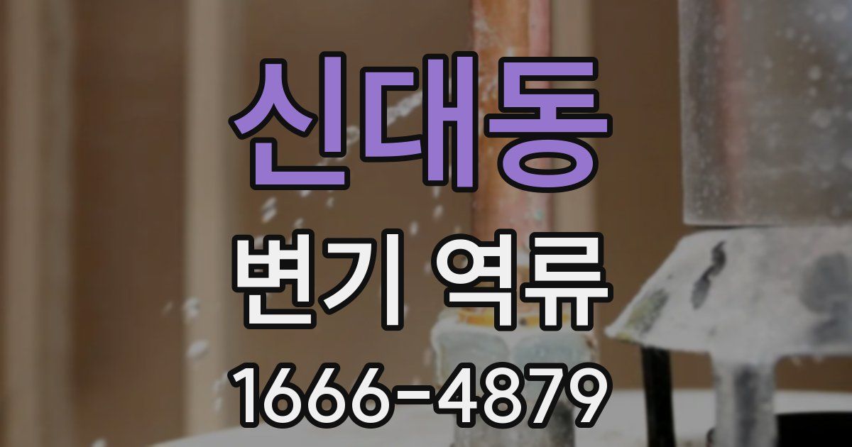 신대동 변기 역류
