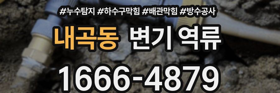 내곡동 변기 역류