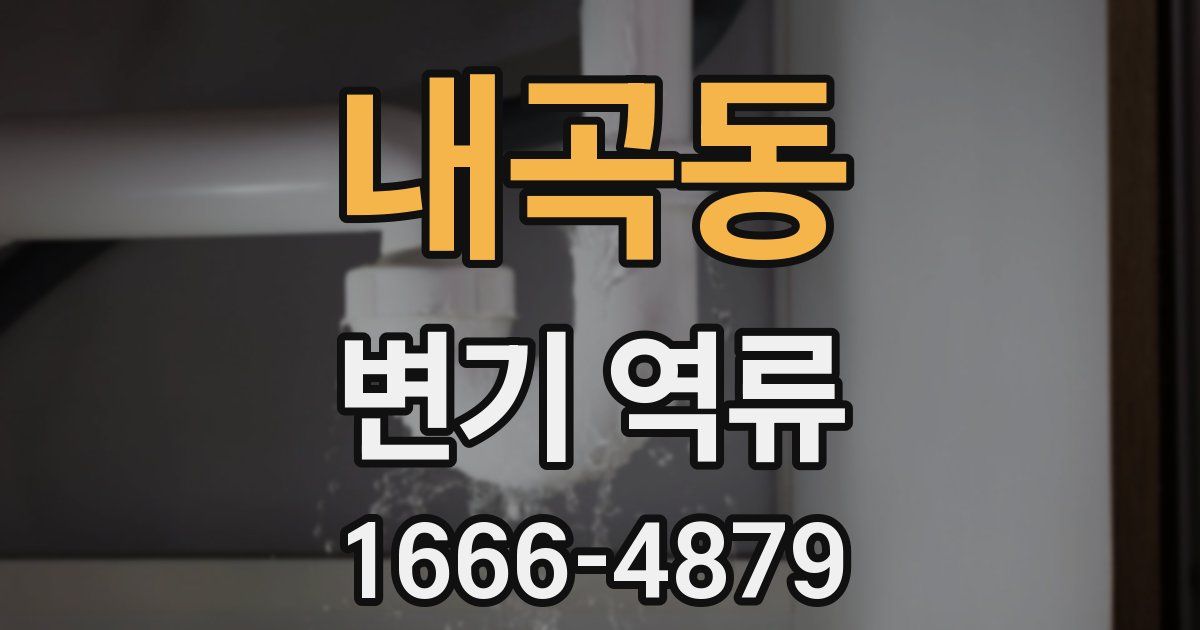 내곡동 변기 역류