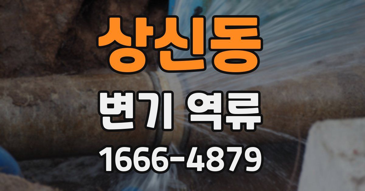 상신동 변기 역류