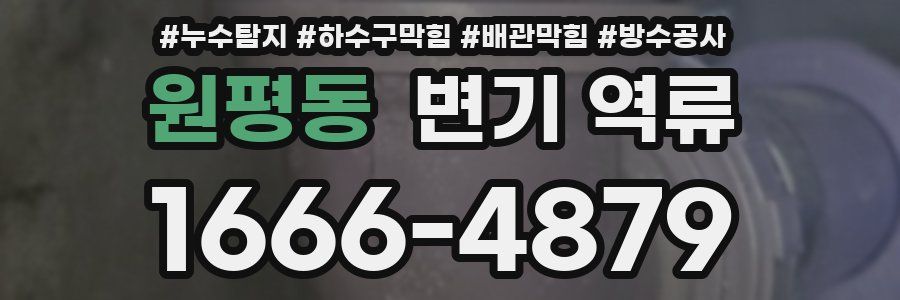 원평동 변기 역류