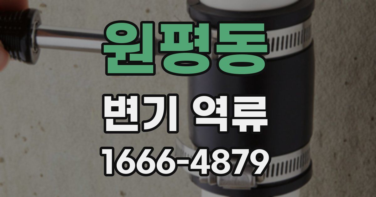 원평동 변기 역류