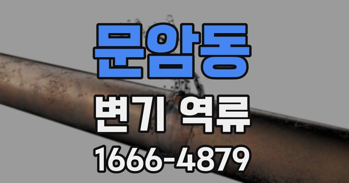 문암동 변기 역류