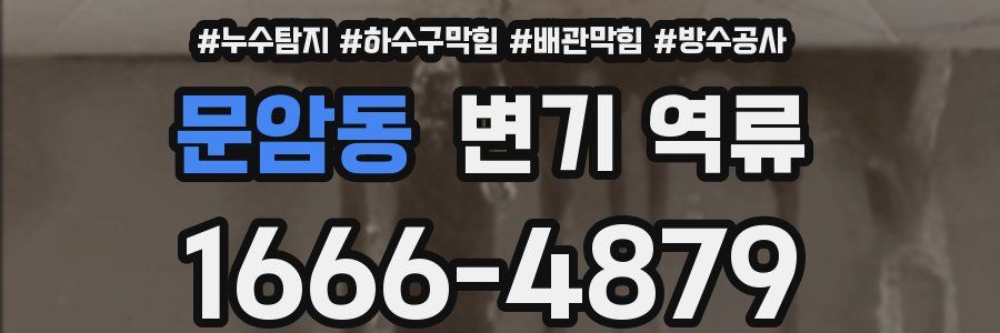 문암동 변기 역류