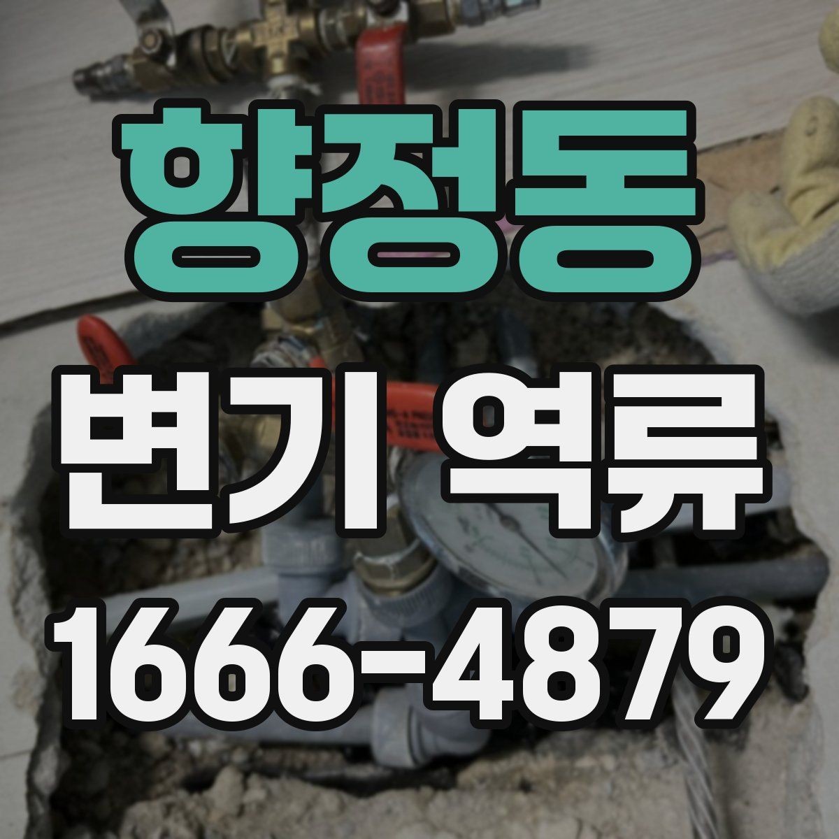 향정동 변기 역류 소리와 물 흐름으로 알 수 있는 이상