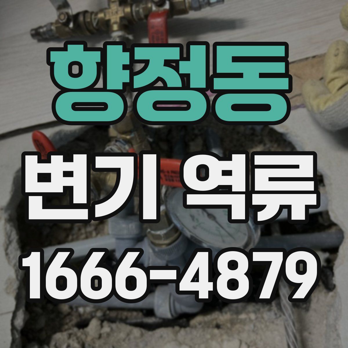 향정동 변기 역류