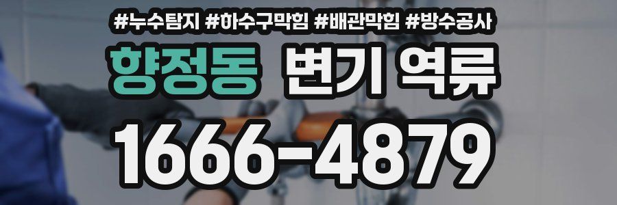 향정동 변기 역류
