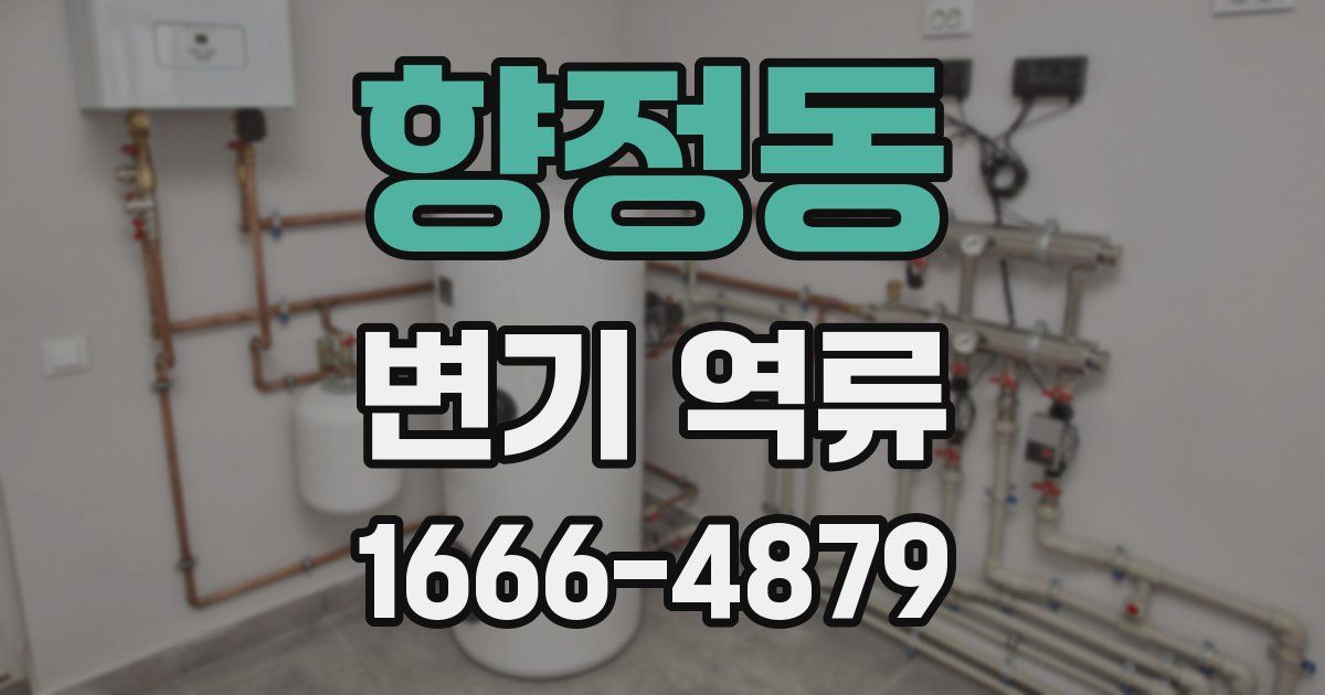 향정동 변기 역류
