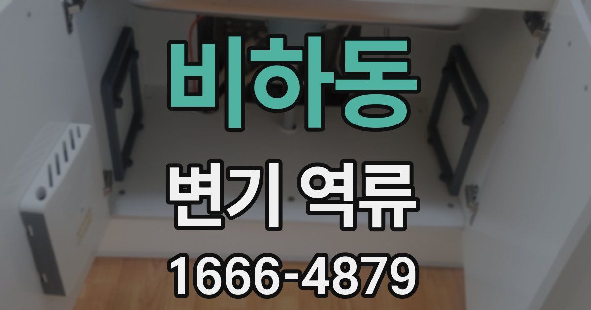 비하동 변기 역류