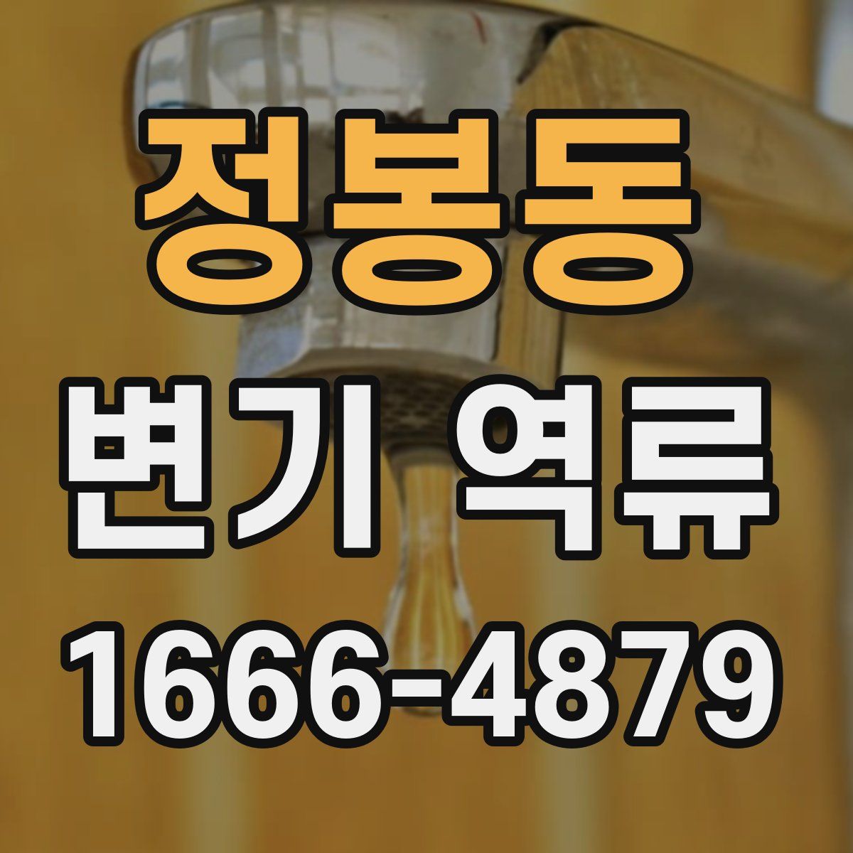 정봉동 변기 역류