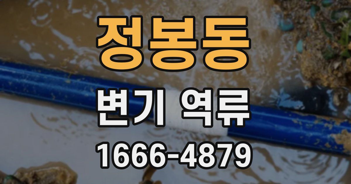 정봉동 변기 역류