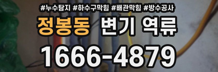 정봉동 변기 역류