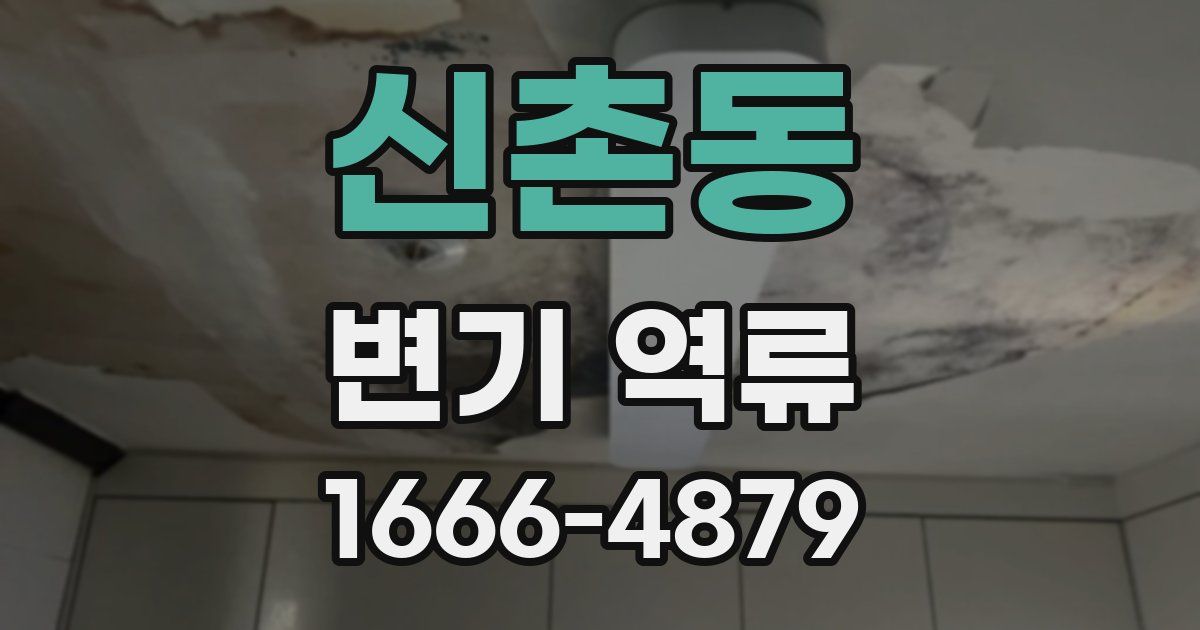 신촌동 변기 역류