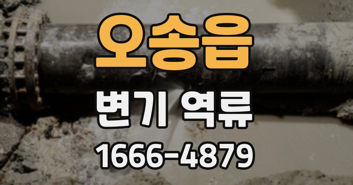 오송읍 변기 역류
