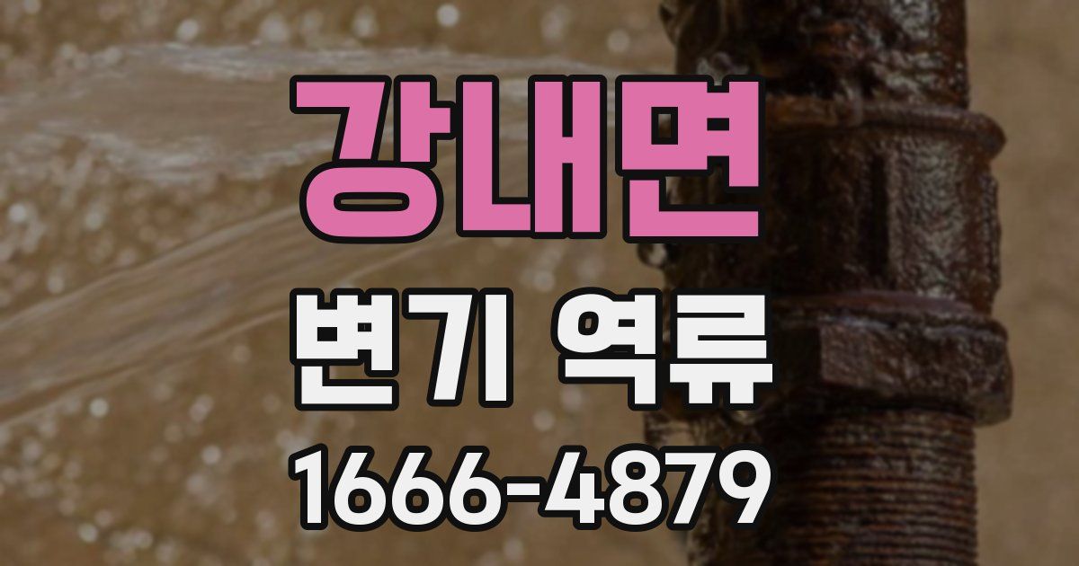 강내면 변기 역류