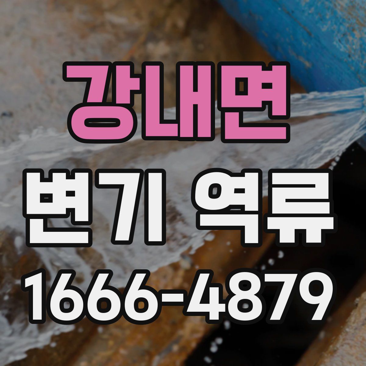 강내면 변기 역류