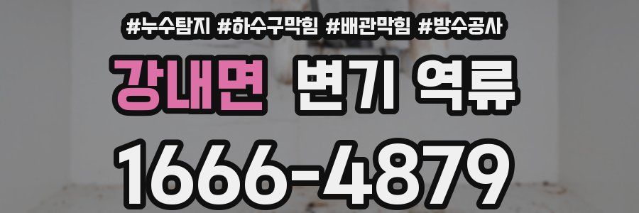 강내면 변기 역류