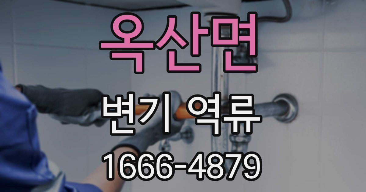 옥산면 변기 역류