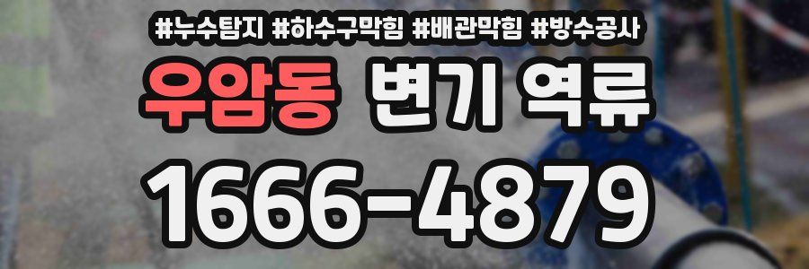 우암동 변기 역류