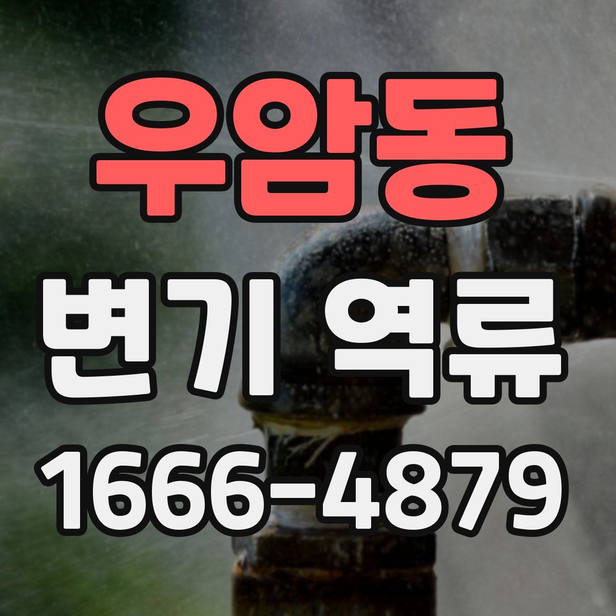 우암동 변기 역류