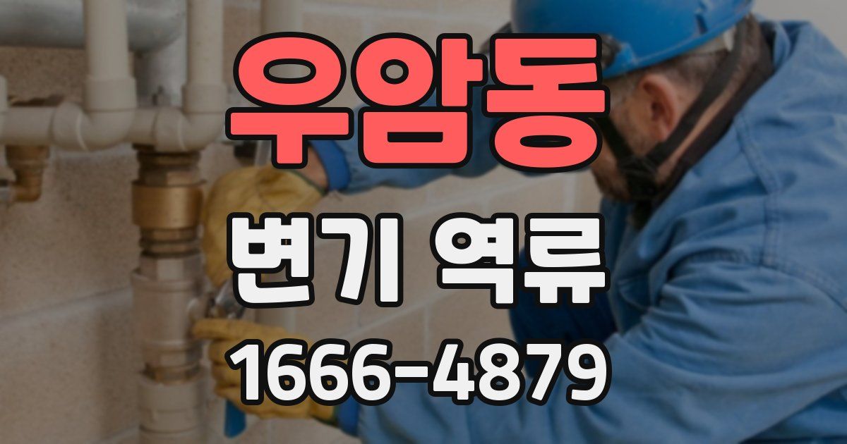 우암동 변기 역류