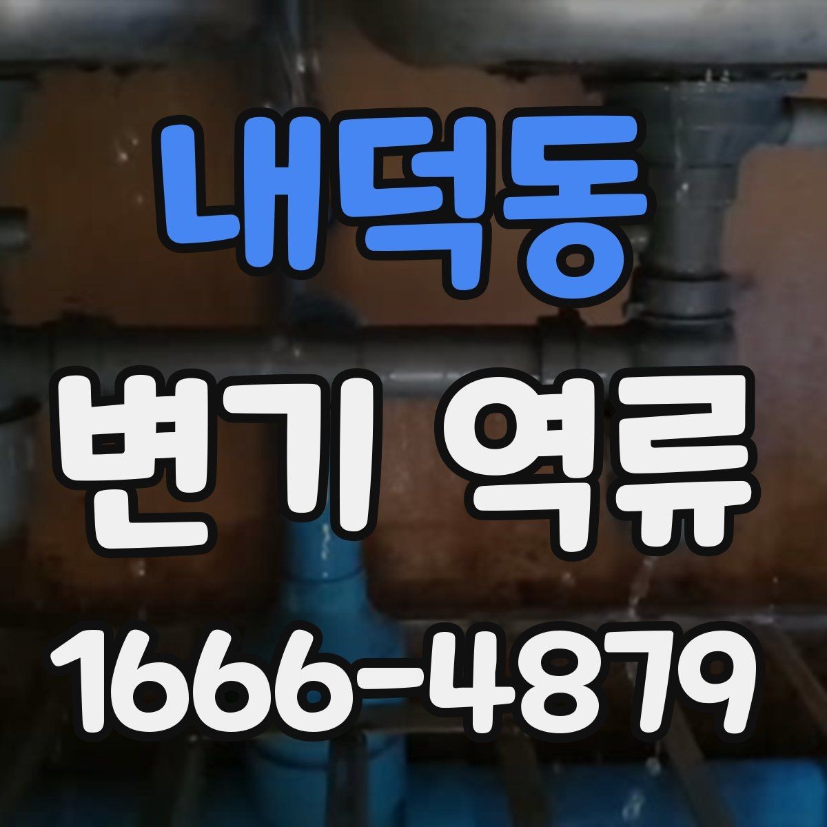 내덕동 변기 역류 점검할 때 먼저 확인할 배수구