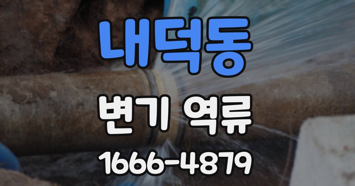 내덕동 변기 역류