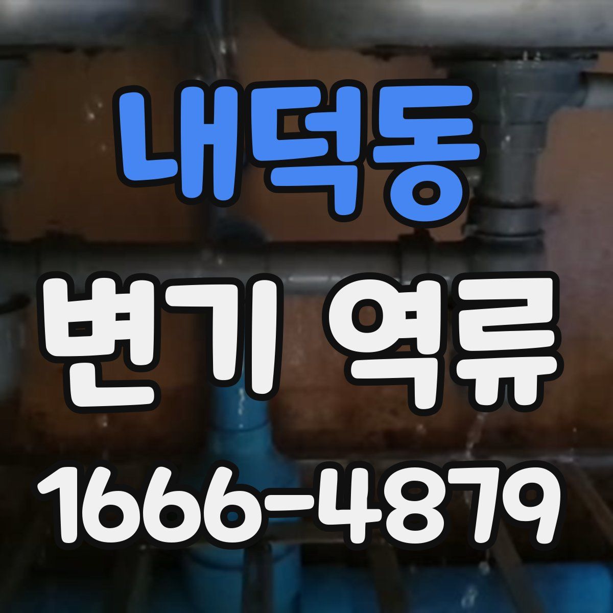 내덕동 변기 역류