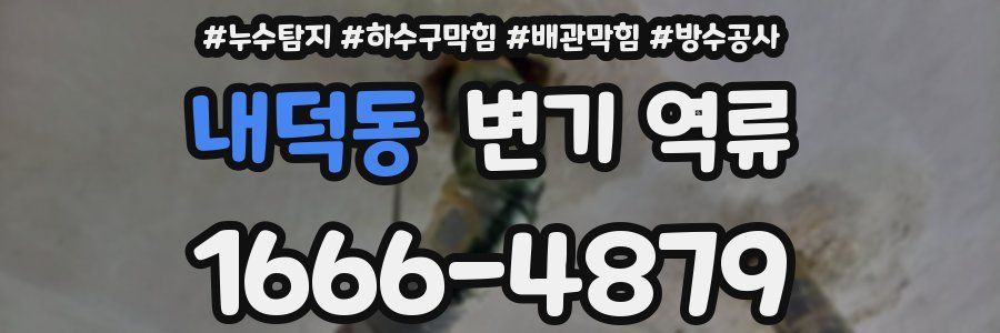 내덕동 변기 역류