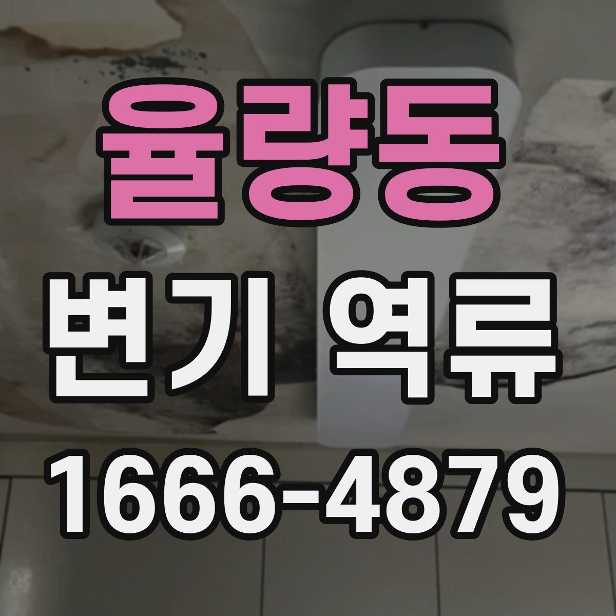 율량동 변기 역류