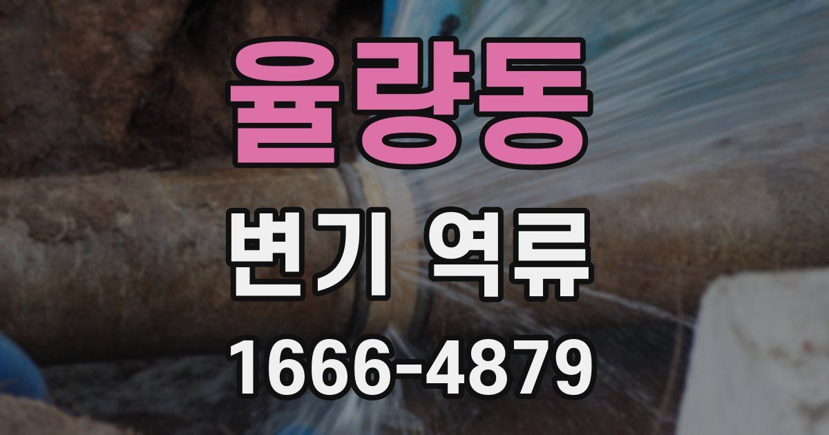 율량동 변기 역류