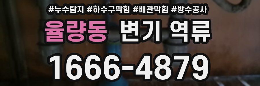 율량동 변기 역류