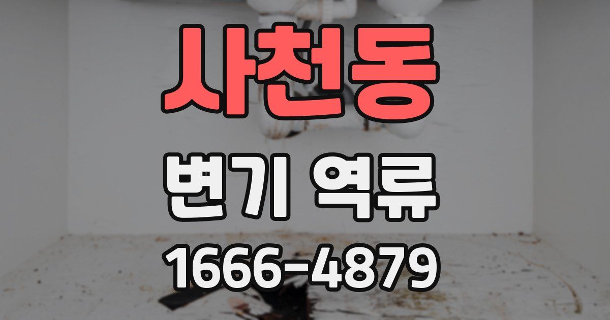 사천동 변기 역류