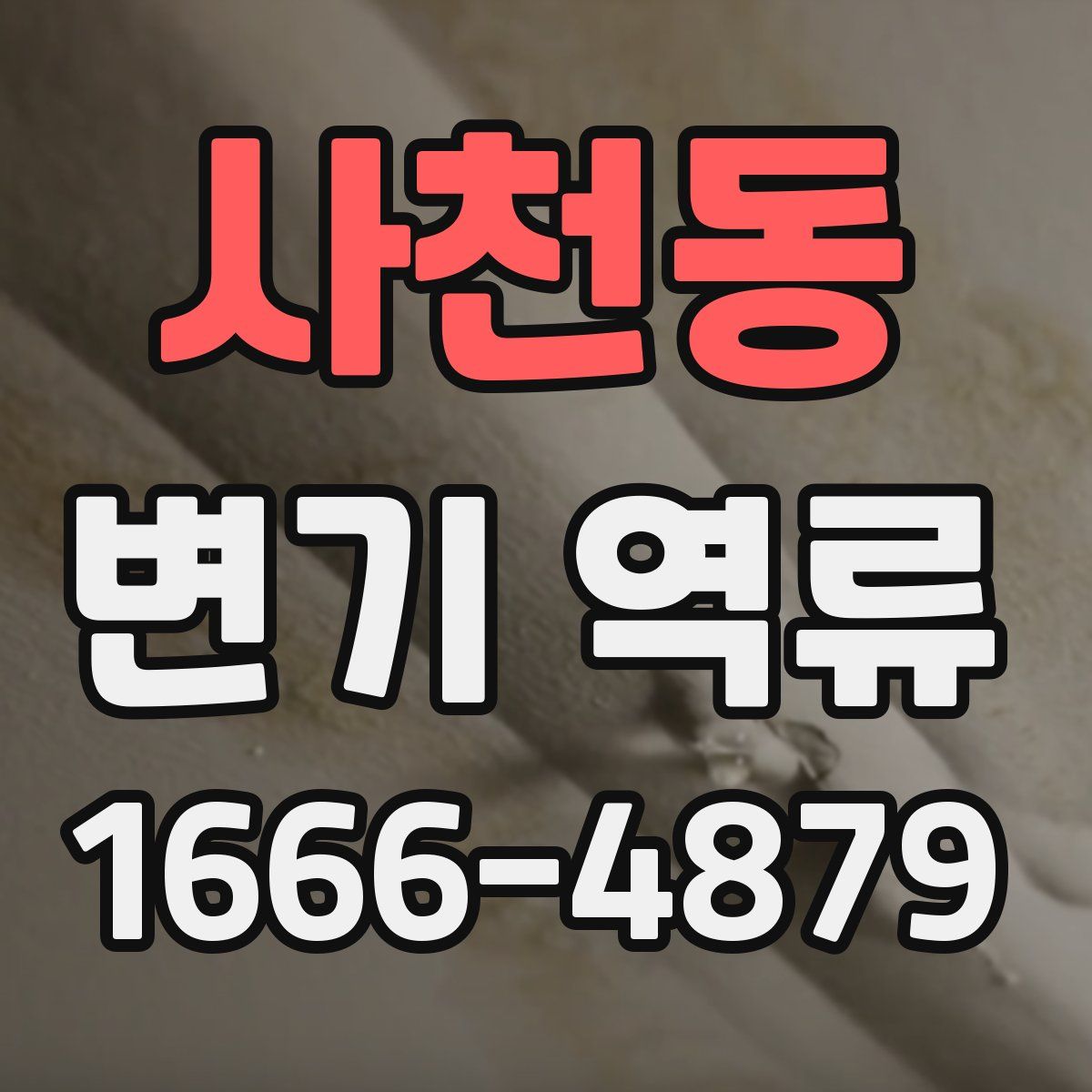 사천동 변기 역류
