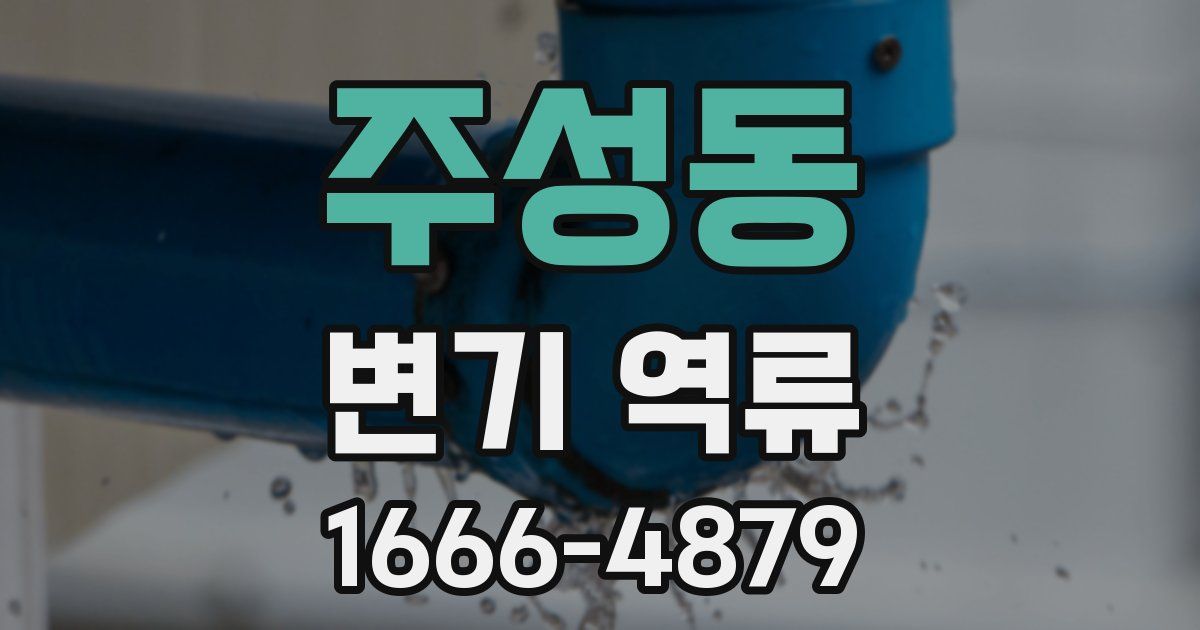 주성동 변기 역류