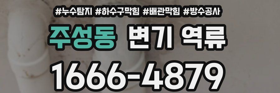주성동 변기 역류