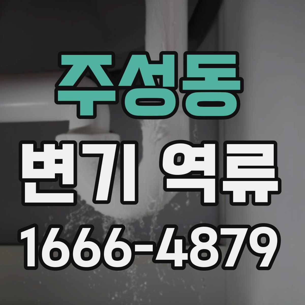 주성동 변기 역류