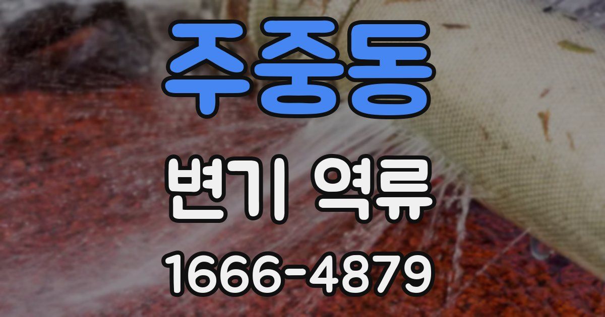 주중동 변기 역류
