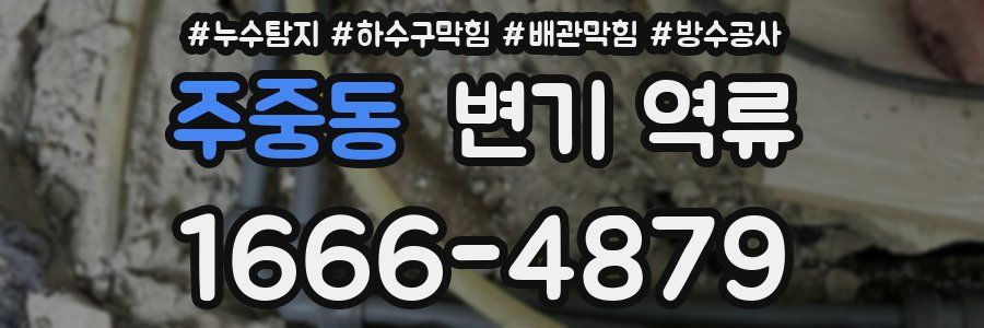 주중동 변기 역류