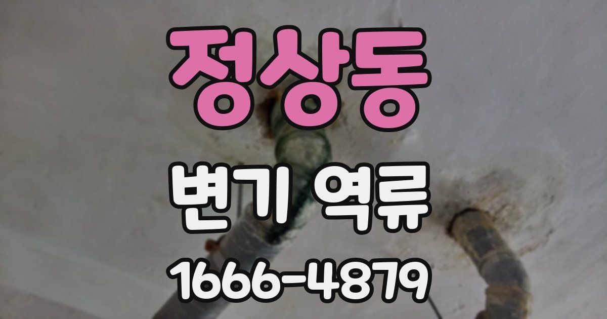 정상동 변기 역류
