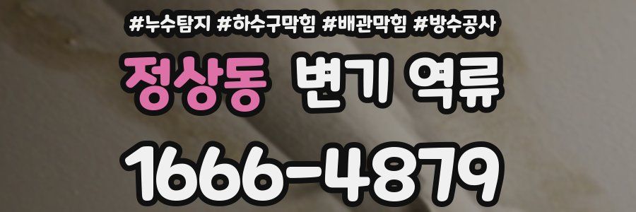 정상동 변기 역류