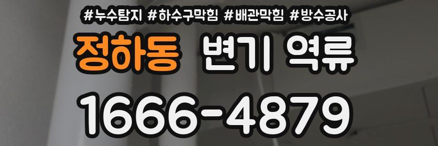 정하동 변기 역류