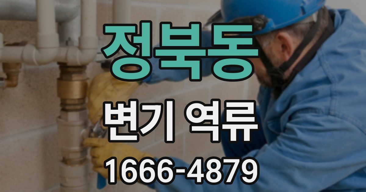 정북동 변기 역류