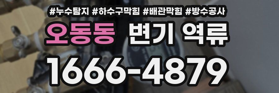 오동동 변기 역류